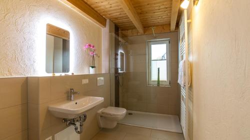 een badkamer met een wastafel, een toilet en een spiegel bij Heideröschen Park Heideröschen 5d in Zingst