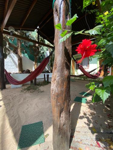 Zahrada ubytování Hostal Casa Edén
