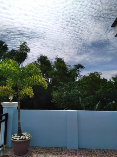 a blue fence with a palm tree behind it at Azulea Lodging House Oslob in Oslob