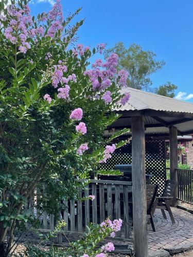 a wooden gazebo with a bench and pink flowers at Crows Nest Motel in Crows Nest