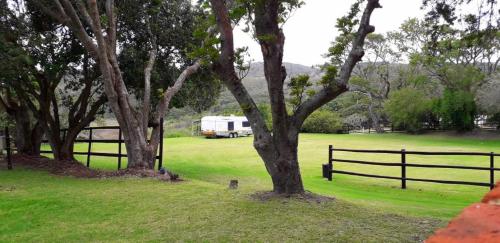 a bird sitting next to two trees and a fence at Woodbourne Resort in Knysna