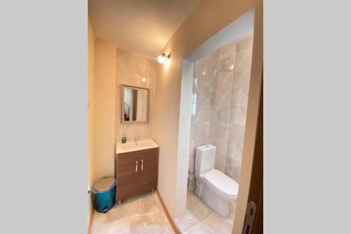 een badkamer met een wit toilet en een wastafel bij Duplex Suite Sultanahmet in Istanbul