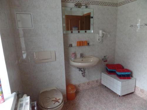 bagno con lavandino, servizi igienici e specchio di Ferienwohnung Renner a Kurort Altenberg