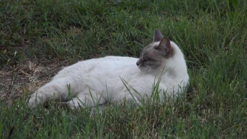Il Frattiero B&B – Photos 5