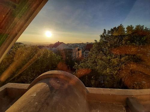 Příroda nedaleko hotelu
