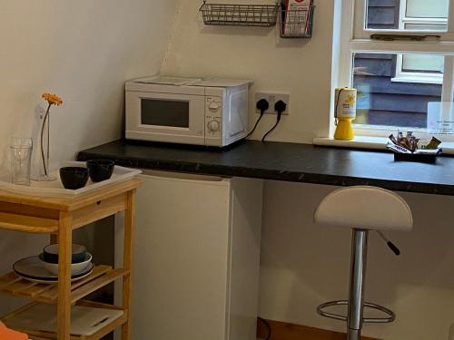eine Mikrowelle auf einer Theke in einer Küche in der Unterkunft Woodland Lodge in Hoddesdon