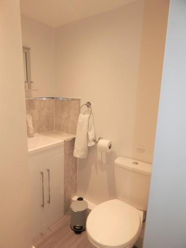 a white bathroom with a toilet and a sink at The Saxon Inn in Bishop Auckland