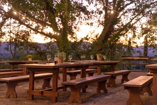 a group of wooden picnic tables with glasses of wine at Borgo San Lorenzo a Linari in San Rocco a Pilli