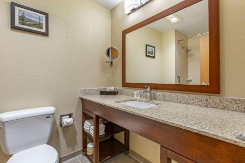 La salle de bains est pourvue d'un lavabo, d'un miroir et de toilettes. dans l'établissement Comfort Inn & Suites Lordsburg I-10, à Lordsburg