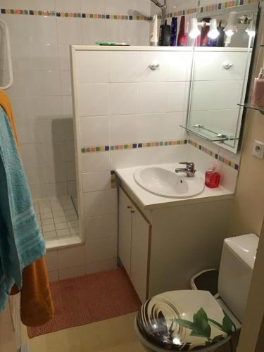 une salle de bain avec un lavabo, des toilettes et un miroir dans l'établissement Appartement 5 couchages coquet proche centre, à Cauterets
