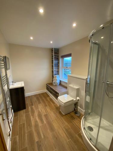 a bathroom with a toilet and a glass shower at Noddfa Farm Guest House in Haverfordwest