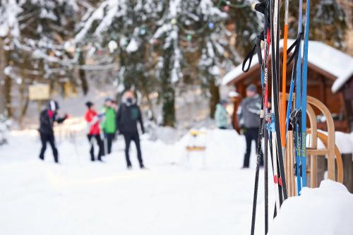 a group of people walking in the snow with skis at Tannmühle Hotel und Restaurant GmbH in Callenberg