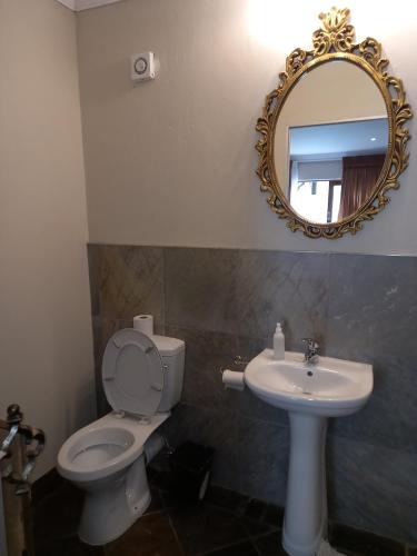 a bathroom with a toilet and a sink and a mirror at Troas Boutique hotel in Vanderbijlpark