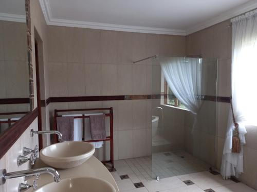 a bathroom with a sink and a shower at Troas Boutique hotel in Vanderbijlpark
