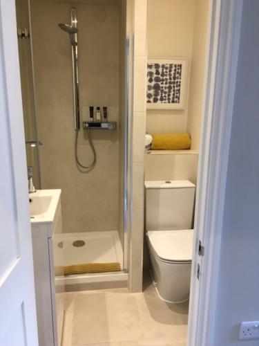 a bathroom with a shower and a toilet and a sink at Beautiful Bath Apartment in iconic Milsom Street Location in Bath