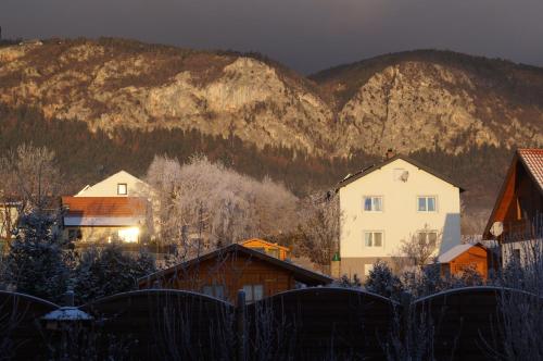 a group of houses in front of a mountain at Apartment Robert in Maiersdorf
