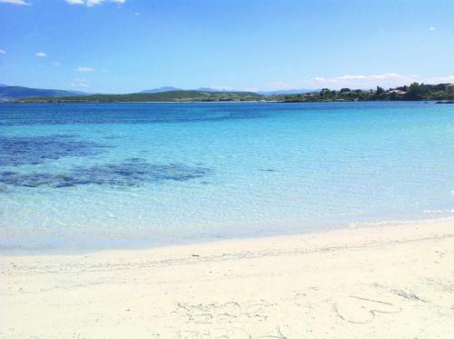 a large body of water with a sandy beach at Sea Love in Olbia