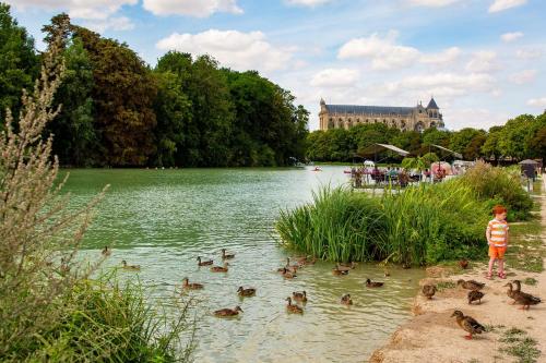 a little boy looking at ducks in the water at Camping de Châlons-en-Champagne in Châlons-en-Champagne