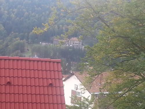 Příroda nedaleko apartmánu