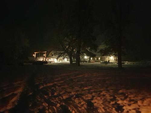 un grupo de árboles en un campo por la noche en Maamehe golfi talu 