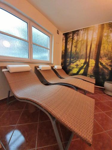 a row of chairs in a room with windows at Hotel Drei Kronen in Frauenwald
