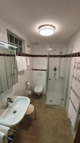 a bathroom with a sink and a shower and a toilet at Hotel Restaurant Rebstock in Oppenau