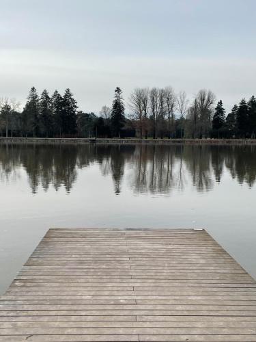 a dock in the middle of a lake at Demeures & Châteaux Le Pavillon d'Enghien, Vichy Centre in Vichy