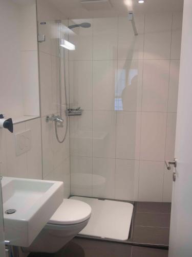 a bathroom with a shower and a toilet and a sink at Studio Zentrum EG in Adelboden