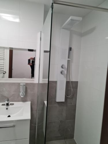 a bathroom with a shower and a sink at Eldom-Noclegi Rogozińska 29E in Wągrowiec