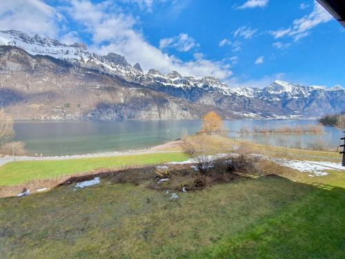 a view of a lake with mountains in the background at Walensee House & Apartments in Unterterzen