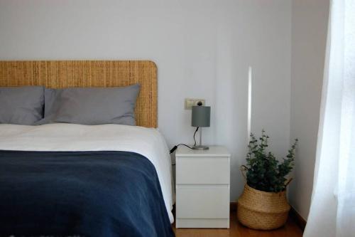 Posada de Llanes的住宿－Apartamento para dos - Cuera，卧室配有一张床,在床头柜上种植植物