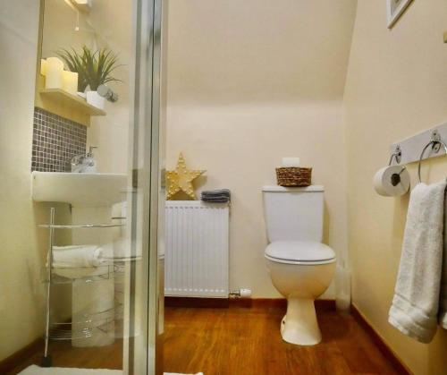 La salle de bains est pourvue de toilettes et d'un lavabo. dans l'établissement Ericht Holiday Lodges, à Blairgowrie