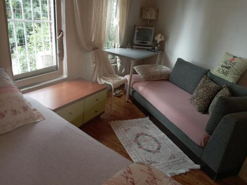 Pembe Ev Tiny studio, Istanbul, Turcia