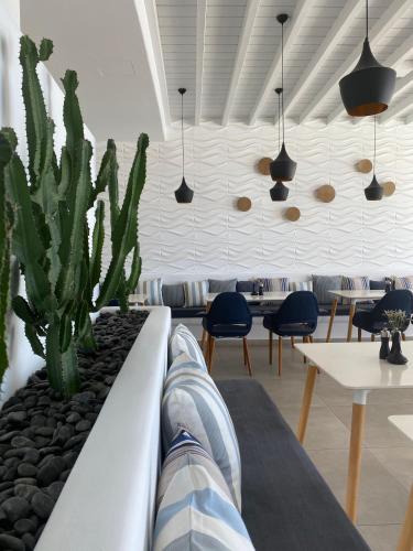 a living room with a couch with a cactus at Absolute Mykonos Suites & More in Mikonos