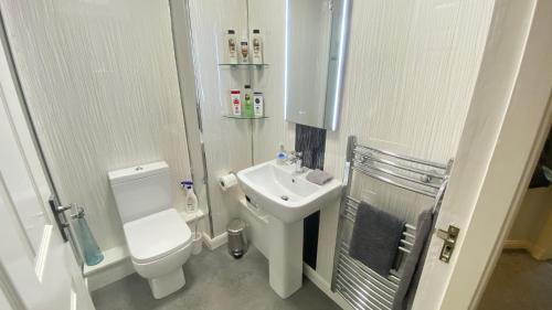 ペイズリーにあるPaisley Central Apartment #3のトイレと洗面台のある小さなバスルーム