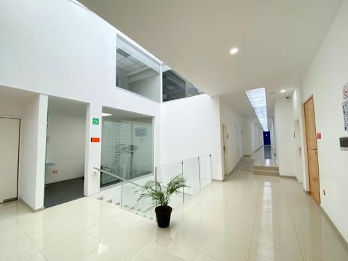 a hallway of an office building with a potted plant at Hotel Star Express Puebla - Central CAPU in Puebla