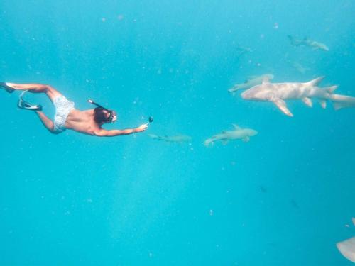 Clientes alojados en White Coral Rasdhoo