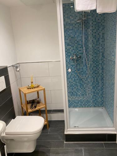 a bathroom with a shower with a toilet and a sink at Apartment im Herzen von Bad Salzuflen am Kurpark in Bad Salzuflen