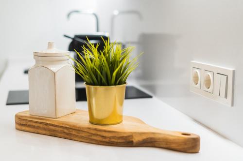 a plant on a wooden cutting board with a bottle at Debambú Suites in Málaga