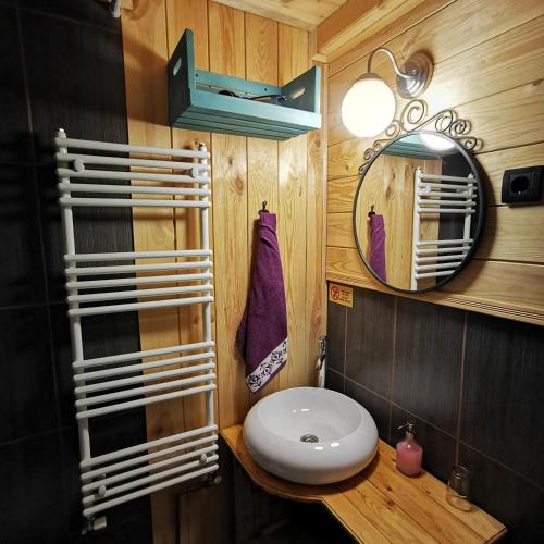 a bathroom with a toilet and a mirror at Šum Apartmani - Stara planina in Crni Vrh