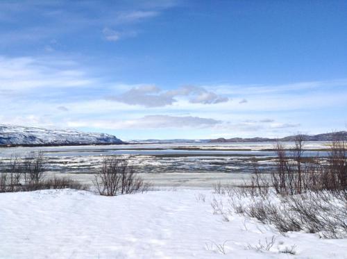 um campo coberto de neve com uma massa de água em Fjordutsikten Motell & Camping AS em Lakselv