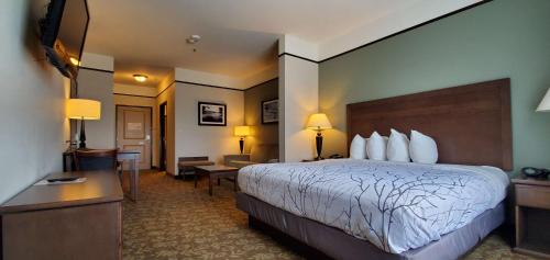 Habitación de hotel con cama y TV en Best Western Plus Emory at Lake Fork Inn & Suites en Emory