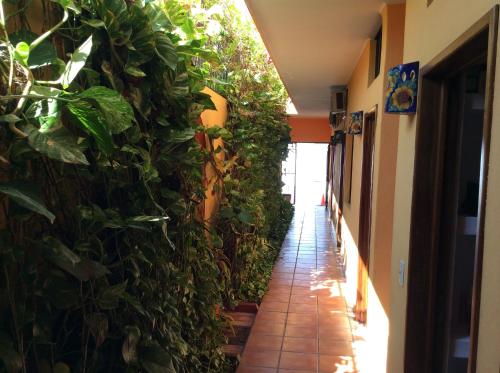 Un balcón o terraza de Hotel Joya Del Mar