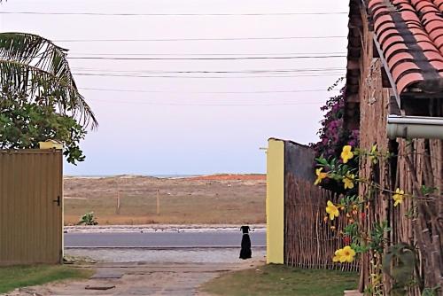 a black cat standing next to a fence at Arco Mundial Taíba in Taíba