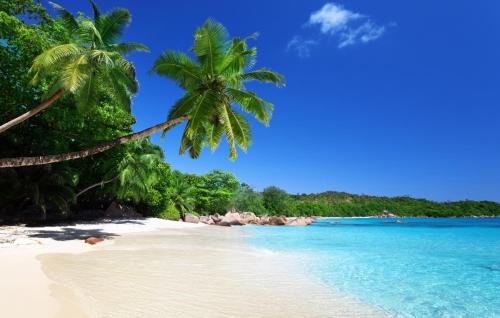a beach with palm trees and blue water at Royale Suites by Arc Royal Luxury Apts in Anse Royale
