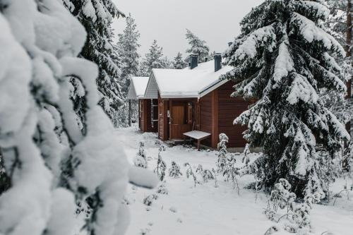 Kieppi Chalet – Photos 3
