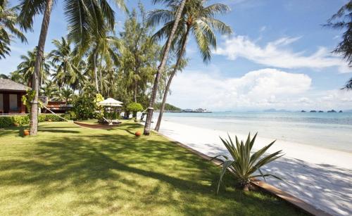 a view of a beach with palm trees and the ocean at Baan Kilee in Lipa Noi
