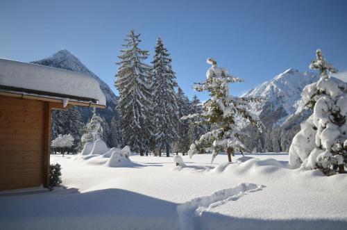 a house covered in snow with trees and mountains at Haus Regenbogen in Pertisau