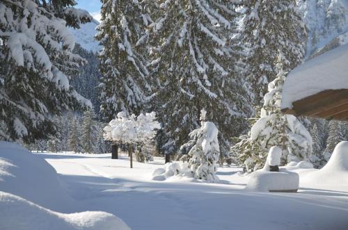 a snow covered yard with trees covered in snow at Haus Regenbogen in Pertisau