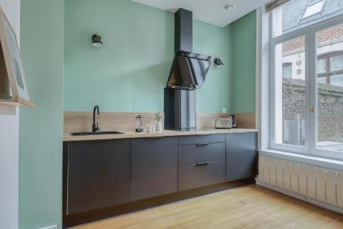 une cuisine avec un évier et une fenêtre dans l'établissement NOCNOC - Le Baryton, Monnaie, à Lille